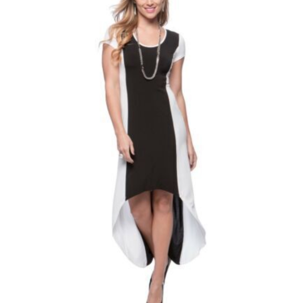 Andrew Marc, Marc New York High- Low Colorblock Dress